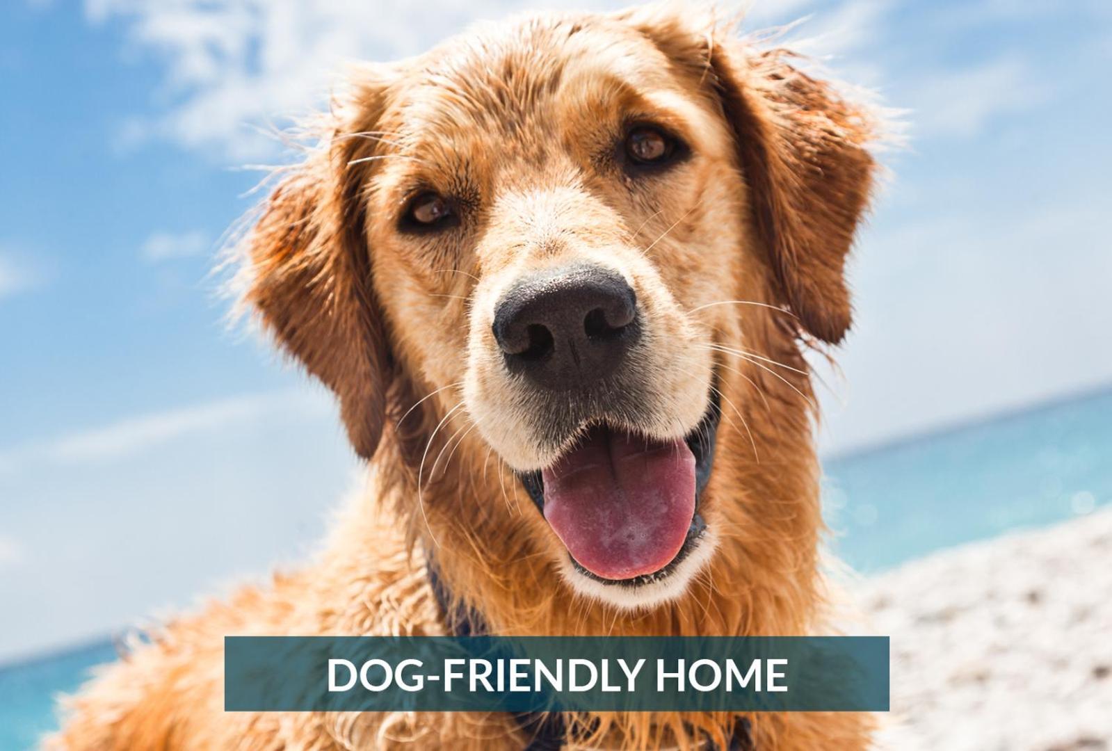 4011 The Dogs House 2 Min Walk To Beach Кити Хоук Екстериор снимка